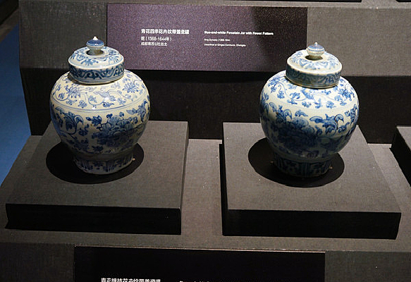 �����໨��֦�����ƴ��Ǵɹ�