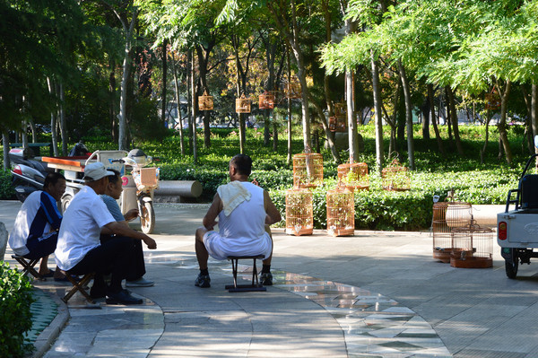 ���񰮺���