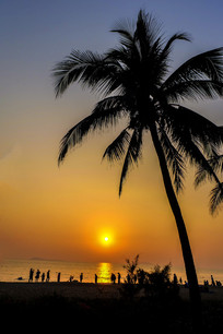 ����Ҭ����