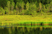 ʪ��ˮ��ˮ��