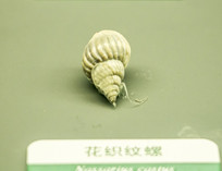 ֯