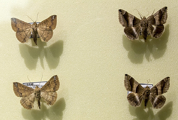 ���潥���