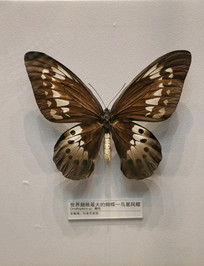 ������������걾