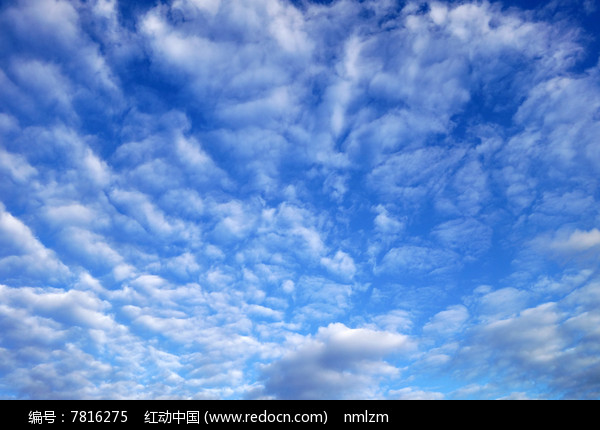 �������ͼƬ