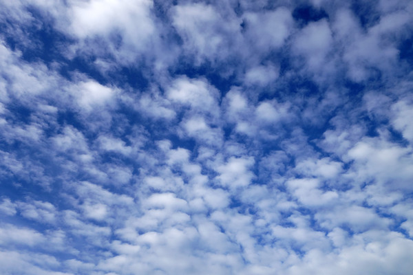 ������ƶ��