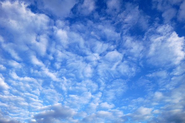 ������� �羰