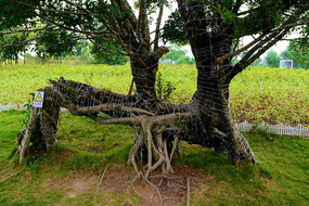 ��������