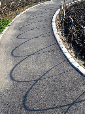 ������Ӱ