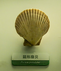 ȱ