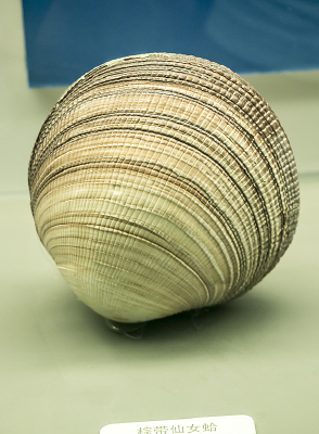 �ش���Ů��