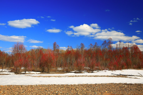 ������ɳ̲