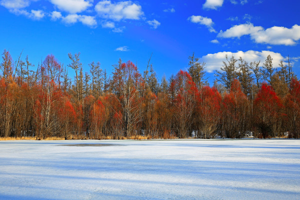 ��������ѩ��