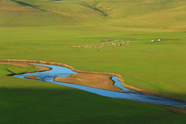 ����������Ⱥ