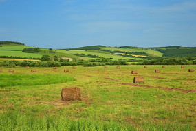 ���ױ����ݳ���ɫ