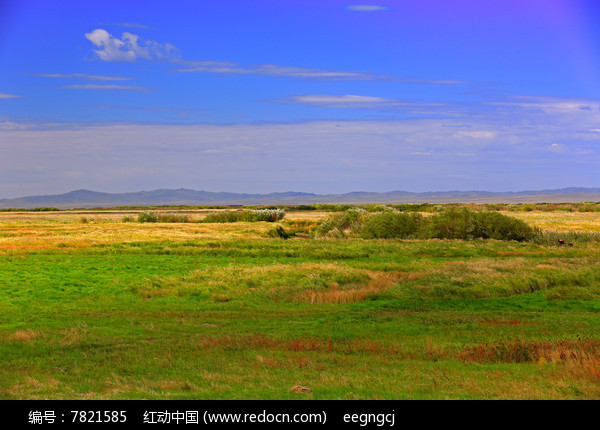 ���ױ�����ԭ���ͼƬ