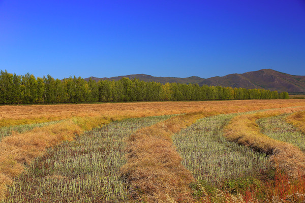 �����µ��Ͳ˵�