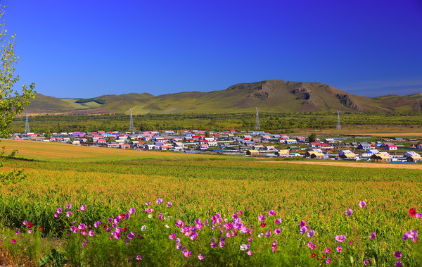 ɽ���µĴ�ׯ��԰