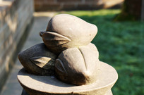 ʯ������