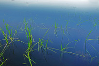 ʪ�غ���ˮ��