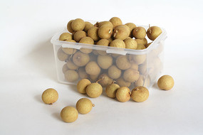 �ױ����ϵĹ�Բ