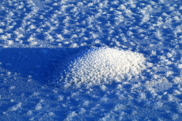 ���������ѩ��˪��