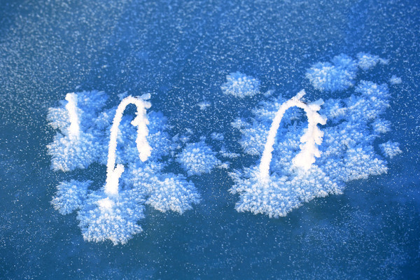 ��ѩ���ҷ��