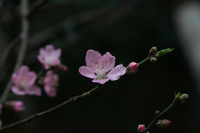 �������һ�