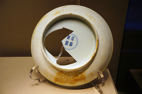 ������ɬ̥�������Ƴ޿���