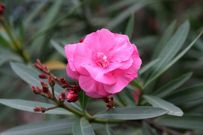 ���޵ļ����һ���