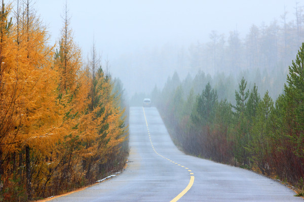 �����������ֹ�·