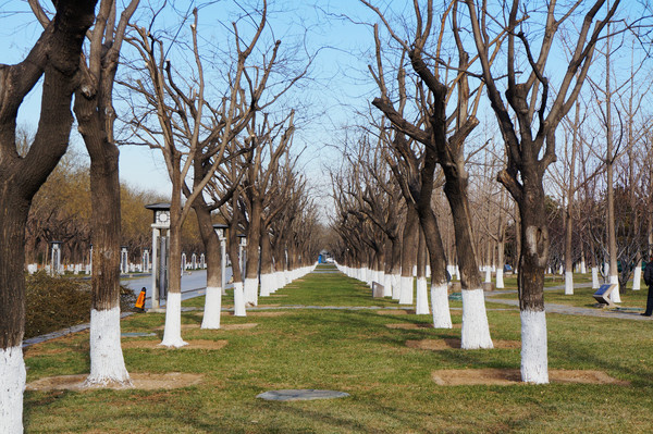 ����������