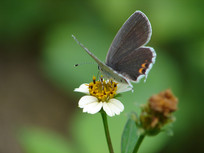 ���ڷû������ҵ�