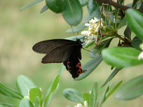 ���ڷû���������