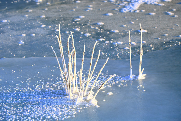 �����ϵ�����