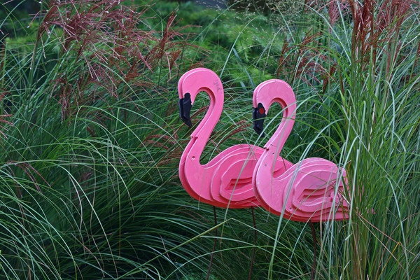 �ݴ��е�ľ�����