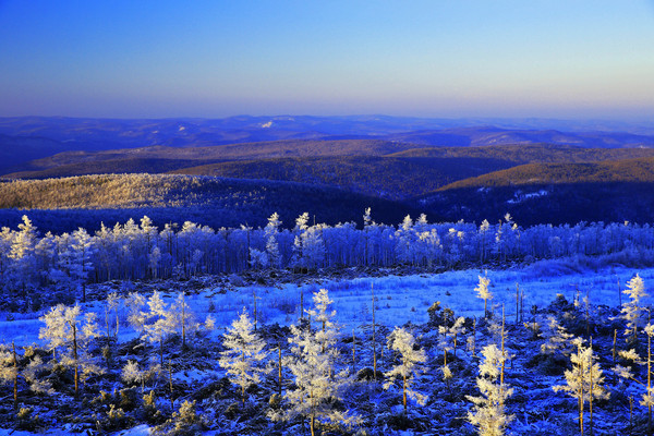 ���˰����ֺ�ѩԭ��ڡ