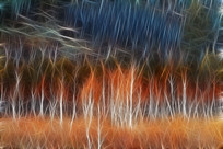 ���Ի������������֡�