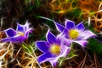 ���Ի�����֮�ϡ�