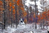 ���Ի���������ѩ��