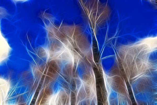 ���Ի���������Ӱ��