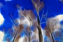 ���Ի���������Ӱ��