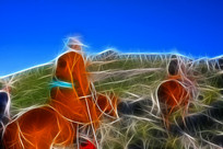 ���Ի����������ӡ�