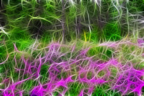 ���Ի���ɽ��������