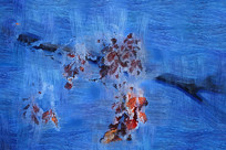 ���Ի���˪Ҷ��