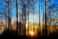 ���Ի��������ճ���