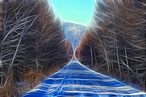 ���Ի���ѩ·��