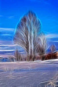 ���Ի���ѩԭ��Ӱ��