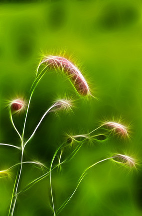 ���Ի����ϻ�������