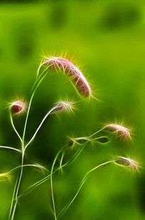 ���Ի����ϻ�������