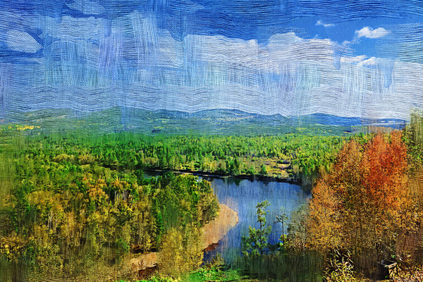 �����ͻ���ɭ�ֺ����ϡ�